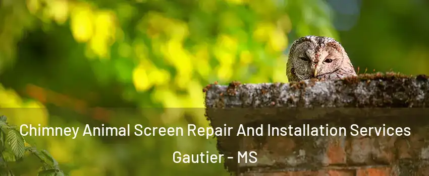  Chimney Animal Screen Repair And Installation Services Gautier - MS