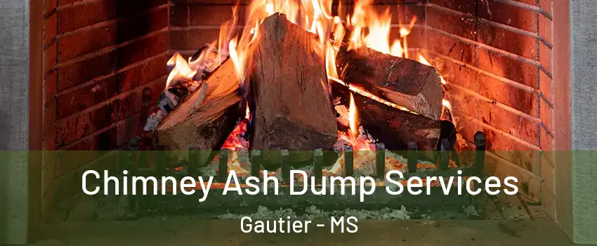  Chimney Ash Dump Services Gautier - MS