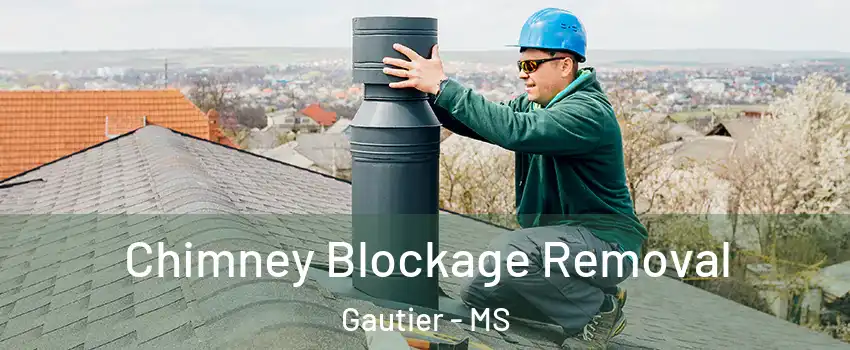  Chimney Blockage Removal Gautier - MS