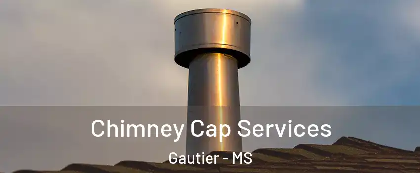  Chimney Cap Services Gautier - MS