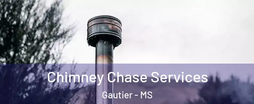  Chimney Chase Services Gautier - MS