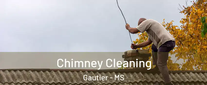  Chimney Cleaning Gautier - MS