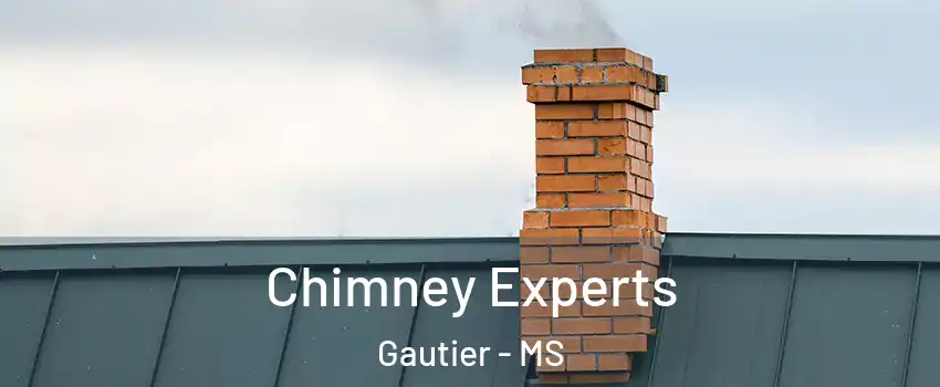 Chimney Experts Gautier - MS
