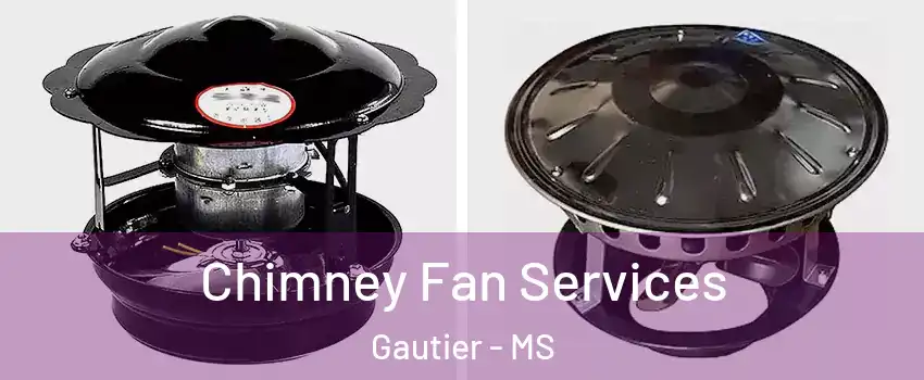  Chimney Fan Services Gautier - MS