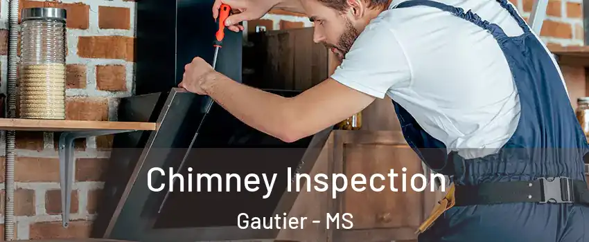  Chimney Inspection Gautier - MS