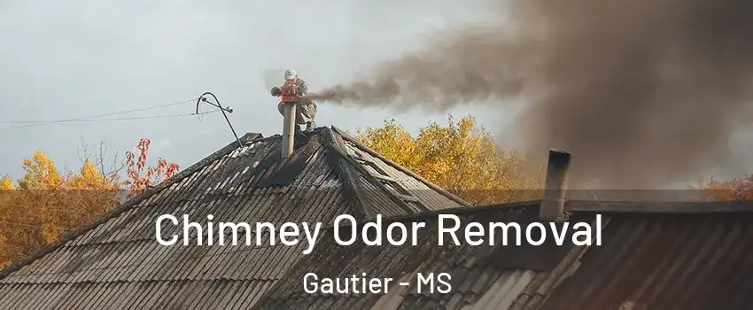  Chimney Odor Removal Gautier - MS
