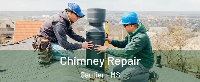  Chimney Repair Gautier - MS