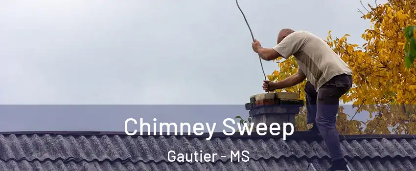  Chimney Sweep Gautier - MS