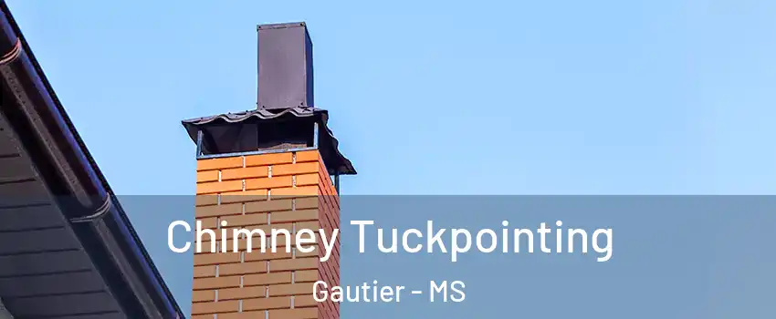  Chimney Tuckpointing Gautier - MS