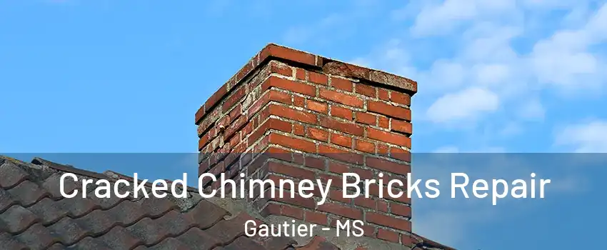  Cracked Chimney Bricks Repair Gautier - MS