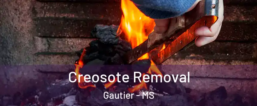  Creosote Removal Gautier - MS