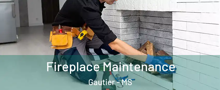  Fireplace Maintenance Gautier - MS