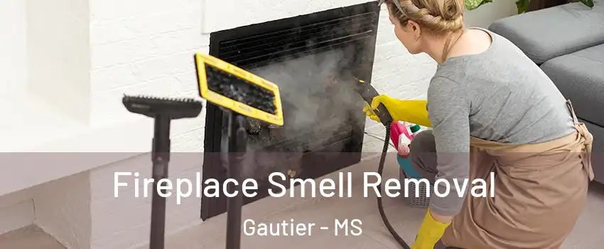  Fireplace Smell Removal Gautier - MS