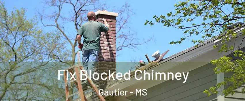  Fix Blocked Chimney Gautier - MS