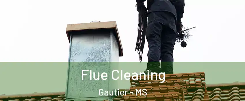  Flue Cleaning Gautier - MS