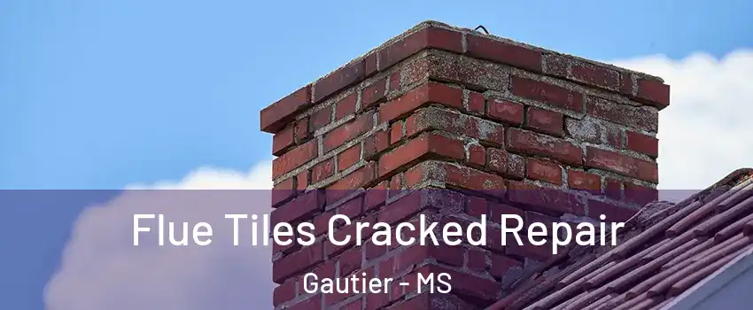  Flue Tiles Cracked Repair Gautier - MS