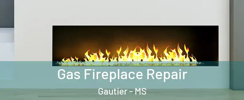  Gas Fireplace Repair Gautier - MS