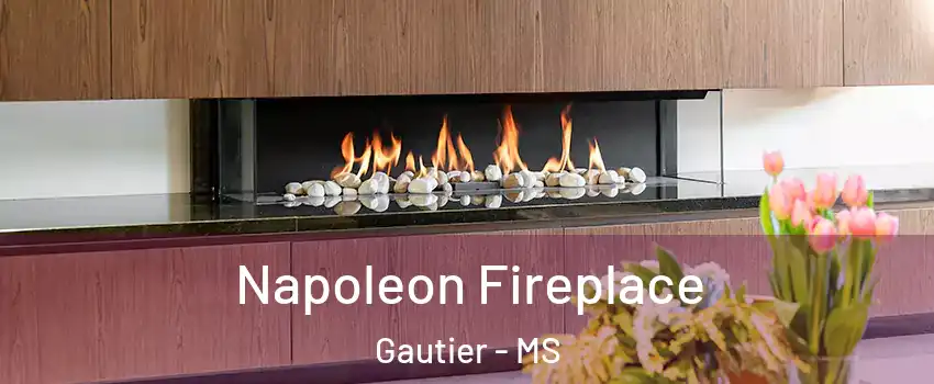  Napoleon Fireplace Gautier - MS